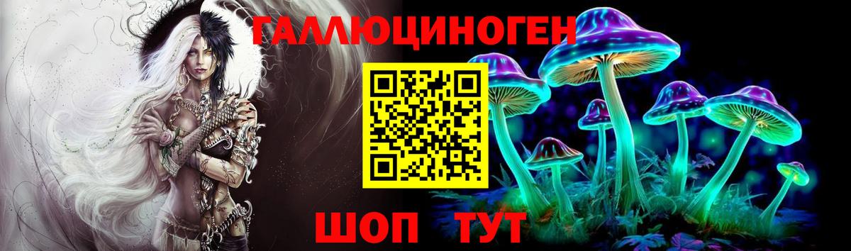 наркотики  Псилоцибиновые грибы Psilocybine cubensis  Дзержинск  Вход с VPN  Псилоцибиновые грибы мухоморы 